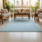 Blu kilim rug in coastal living room blue decor Egyptian handmade modern carpet
